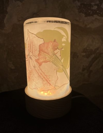 015 jerome ghesquiere photographie soufflee souffleur de verre decor photographique veilleuse