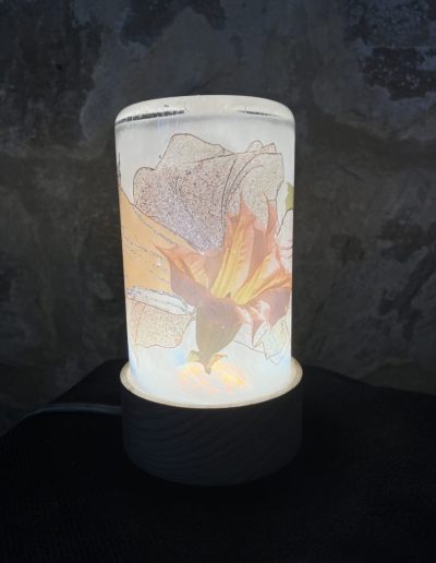 017 jerome ghesquiere photographie soufflee artisan metier art oise decor photographique veilleuse