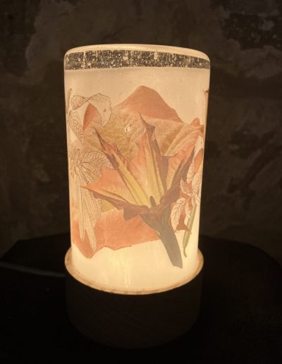020 jerome ghesquiere photographie soufflee artisan metier art oise decor photographique veilleuse